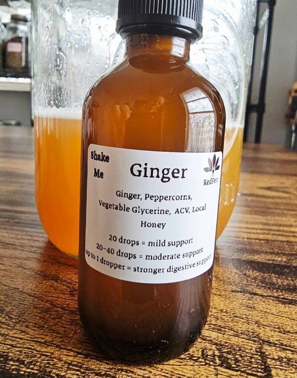 RedFern Ginger Extract digestive-support bottle
